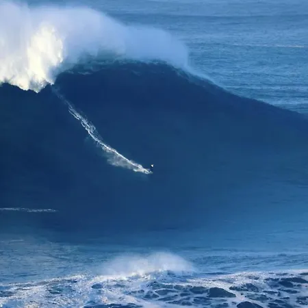 Apartamento Casa Na Onda Subvila